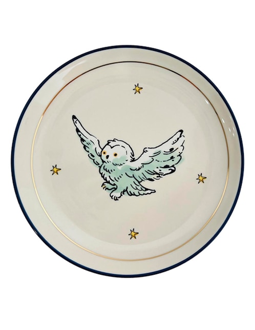 Plato ensalada Harry Potter de stoneware