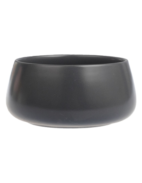 Bowl de porcelana 1
