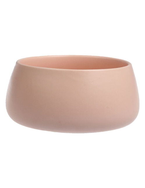 Bowl de porcelana 1