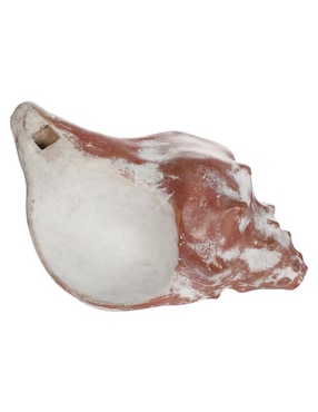 Figura decorativa de caracol de mar Tmna