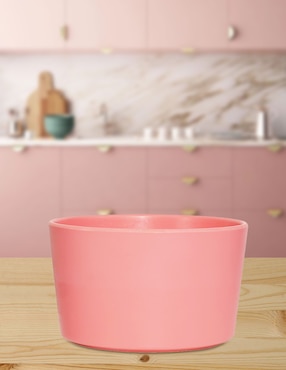 Bowl Haus Pastel de melamina