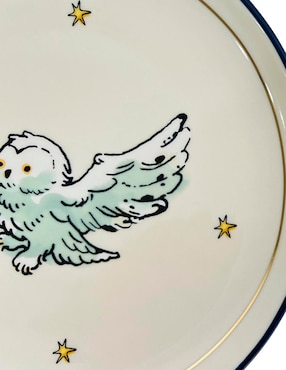 Plato ensalada Haus Kids Harry Potter de stoneware
