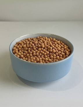 Bowl Haus Sea de cerámica