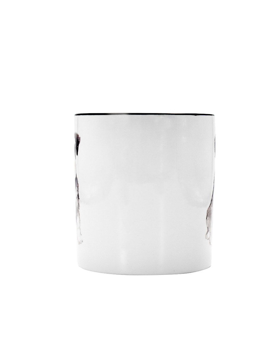 Taza americana Schnauzer 3