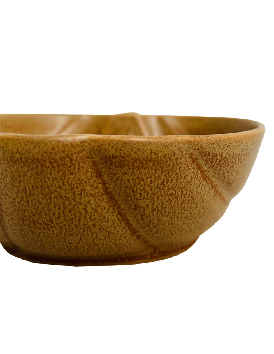 Bowl Pumpkin Harvest de cerámica 5